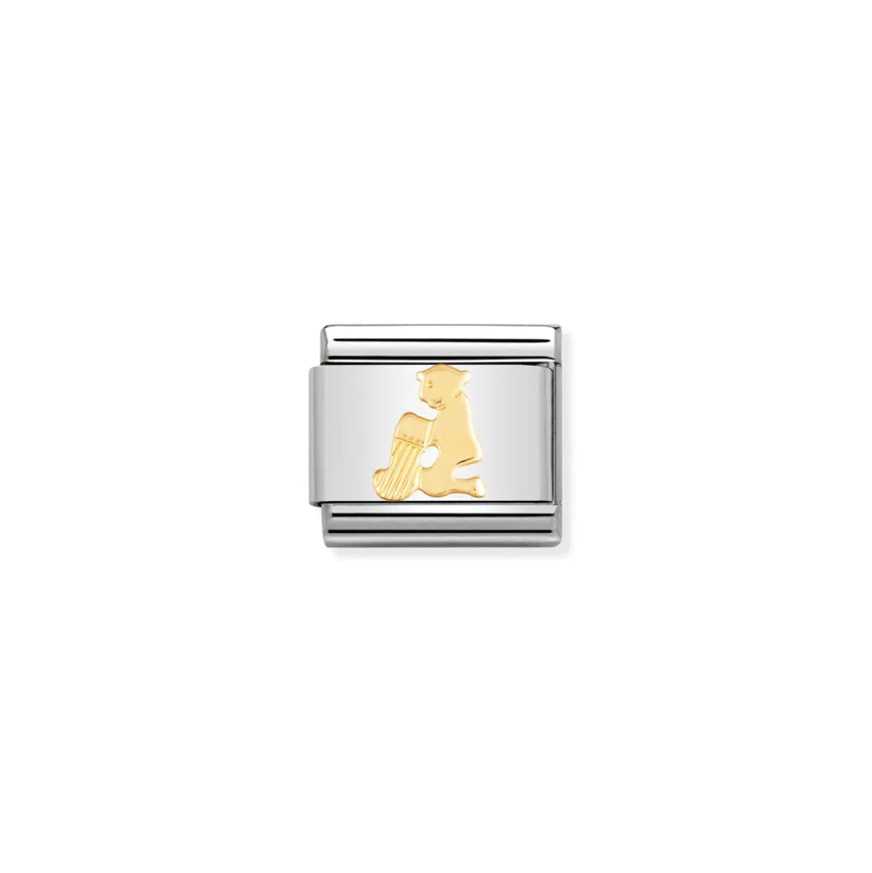 Nomination – COMPOSABLE Classic ZODIAC in stainless steel with 18k gold Aquarius