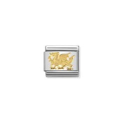 Nomination – COMPOSABLE CLASSIC ANIMALS (EARTH) IN STAINLESS STEEL WITH 18K GOLD (31_DRAGON)