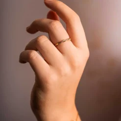 Pan Jewelry Classic – Friendship ring i forgylt sølv med zirkonia