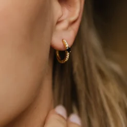PAN Jewelry Classic – Øreringer i forgylt sølv med sort zirkonia