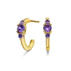 Pan Jewelry Glam – Rio Radiance ørepynt i forgylt sølv med lilla zirkonia