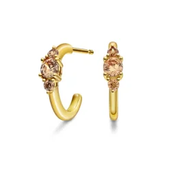Pan Jewelry Glam – Rio Radiance ørepynt i forgylt sølv med champagne fargedt zirkonia