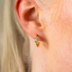 Pan Jewelry Glam – Rio Radiance ørepynt i forgylt sølv med zirkonia