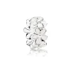 Pandora – Darling Daisies – Charm