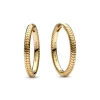 Pandora – Pandora Moments Charm Øreringer