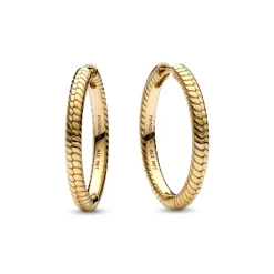 Pandora – Pandora Moments Charm Øreringer