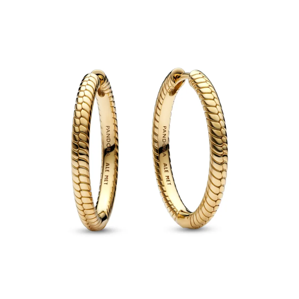 Pandora – Pandora Moments Charm Øreringer